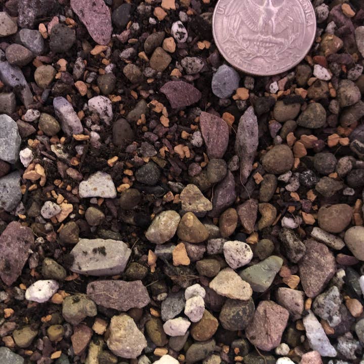 Rooting For You Plant Nursery - Wholesale Planting/Potting Soil - CACTUS & SUCCULENT Premium Potting Mix2