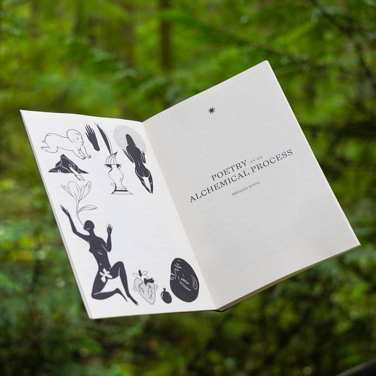 Poesis - Wholesale Poetry & Drama - Poesis - Visions in Verse Book1