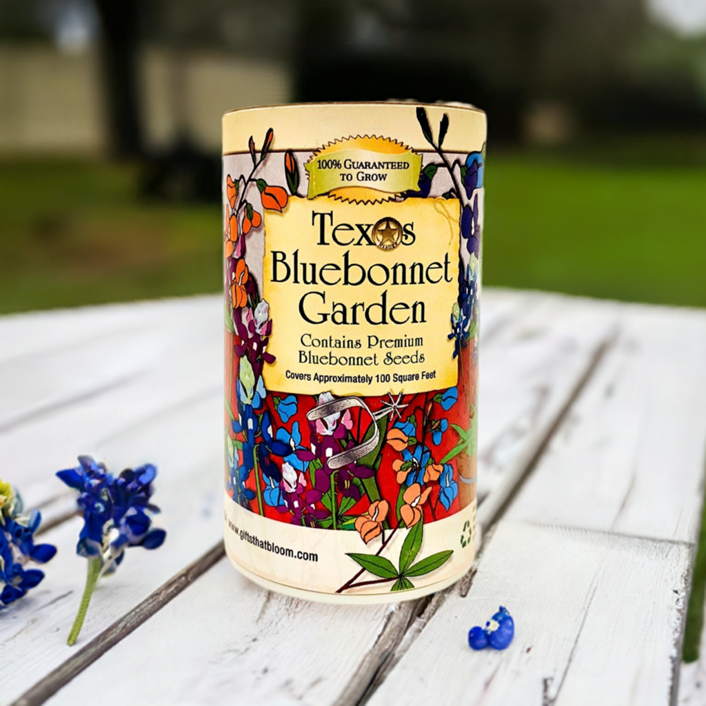 Gifts That Bloom - Wholesale Plant Seeds - Texas  Bluebonnet Shaker Garden2