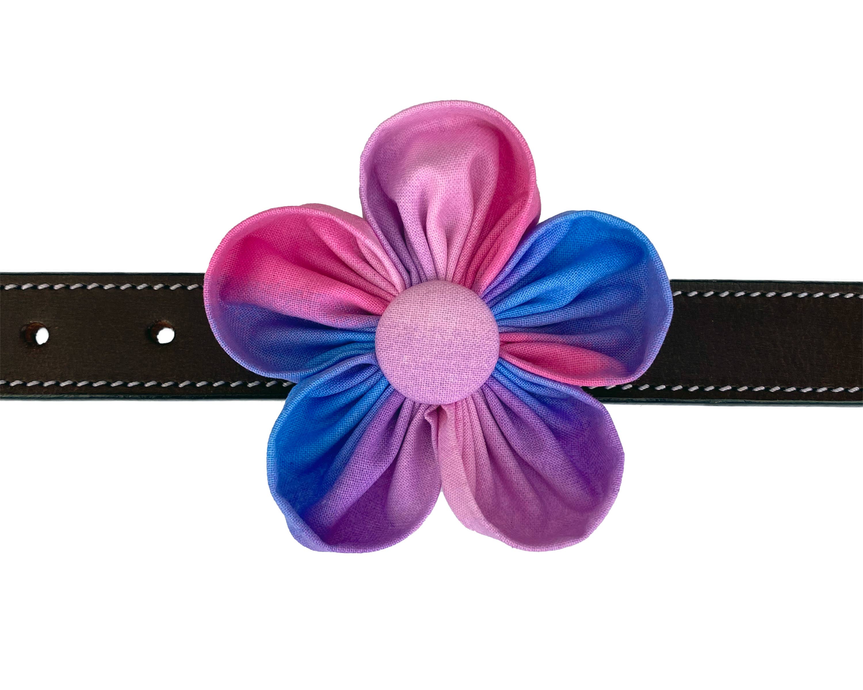 Darcy's Canine Designs - Wholesale Pet Collar - Dog - Pink, Purple and Blue Ombre Collar Flower Pet Accessory4