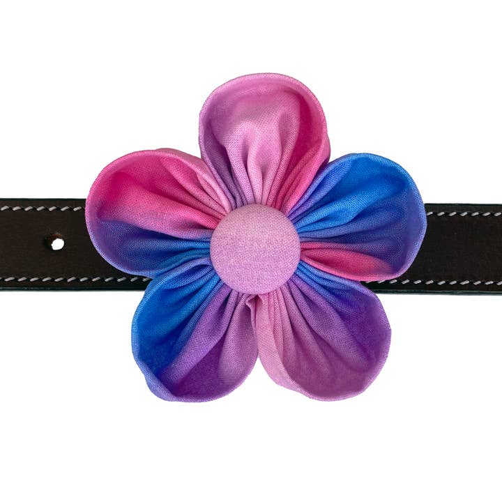 Darcy's Canine Designs - Wholesale Pet Collar - Dog - Pink, Purple and Blue Ombre Collar Flower Pet Accessory4