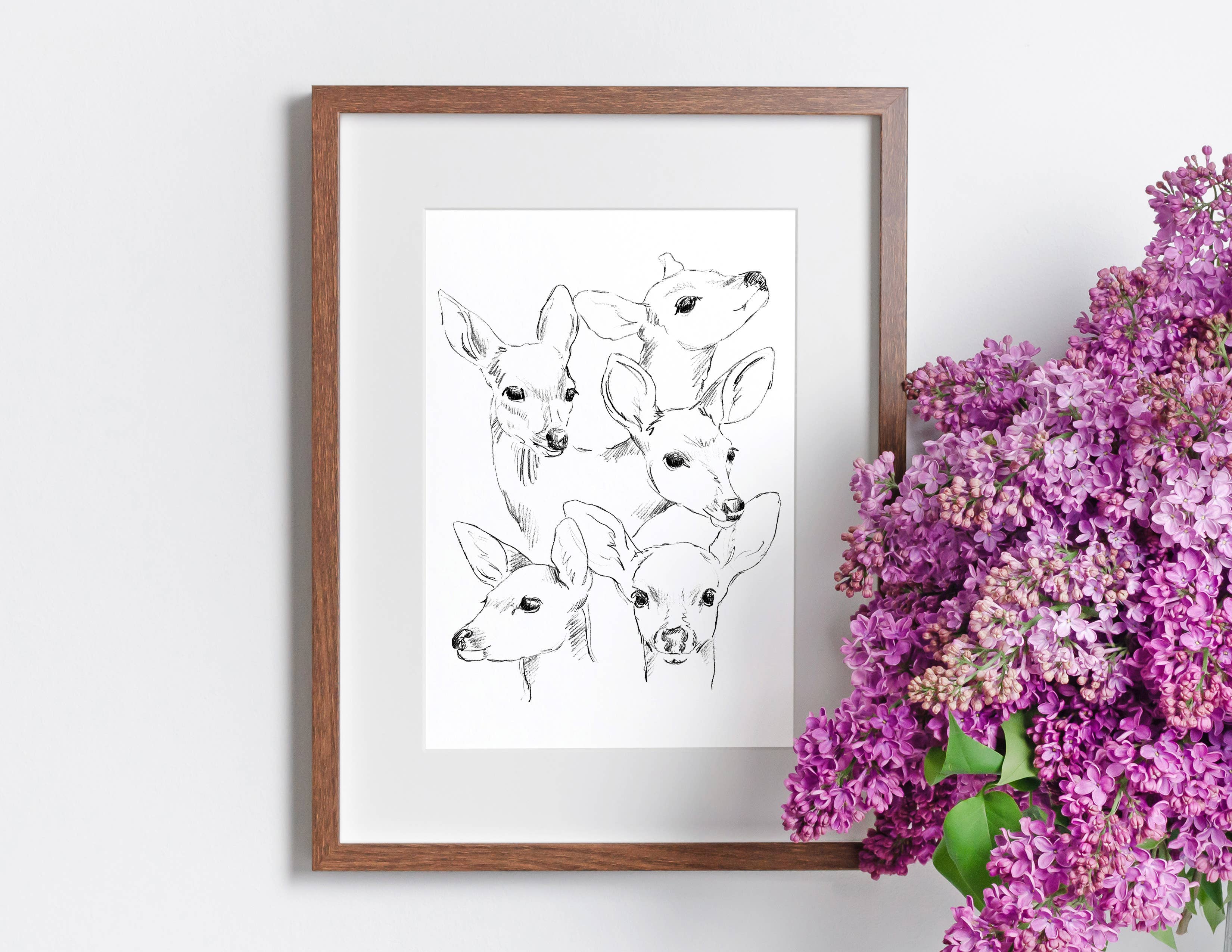 NorthHouse Creative Co. - Wholesale Art Print - Fawn Illustration Sketch Art Print3