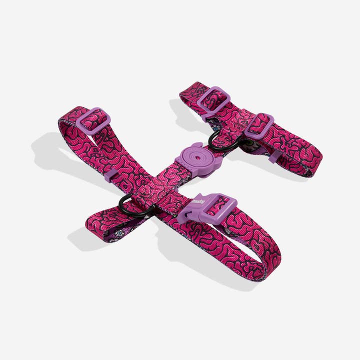 Hundog - Official zee.dog distributor - Wholesale Pet Harness - Dog - Harness to H Lords Of Zee.Town Brain1
