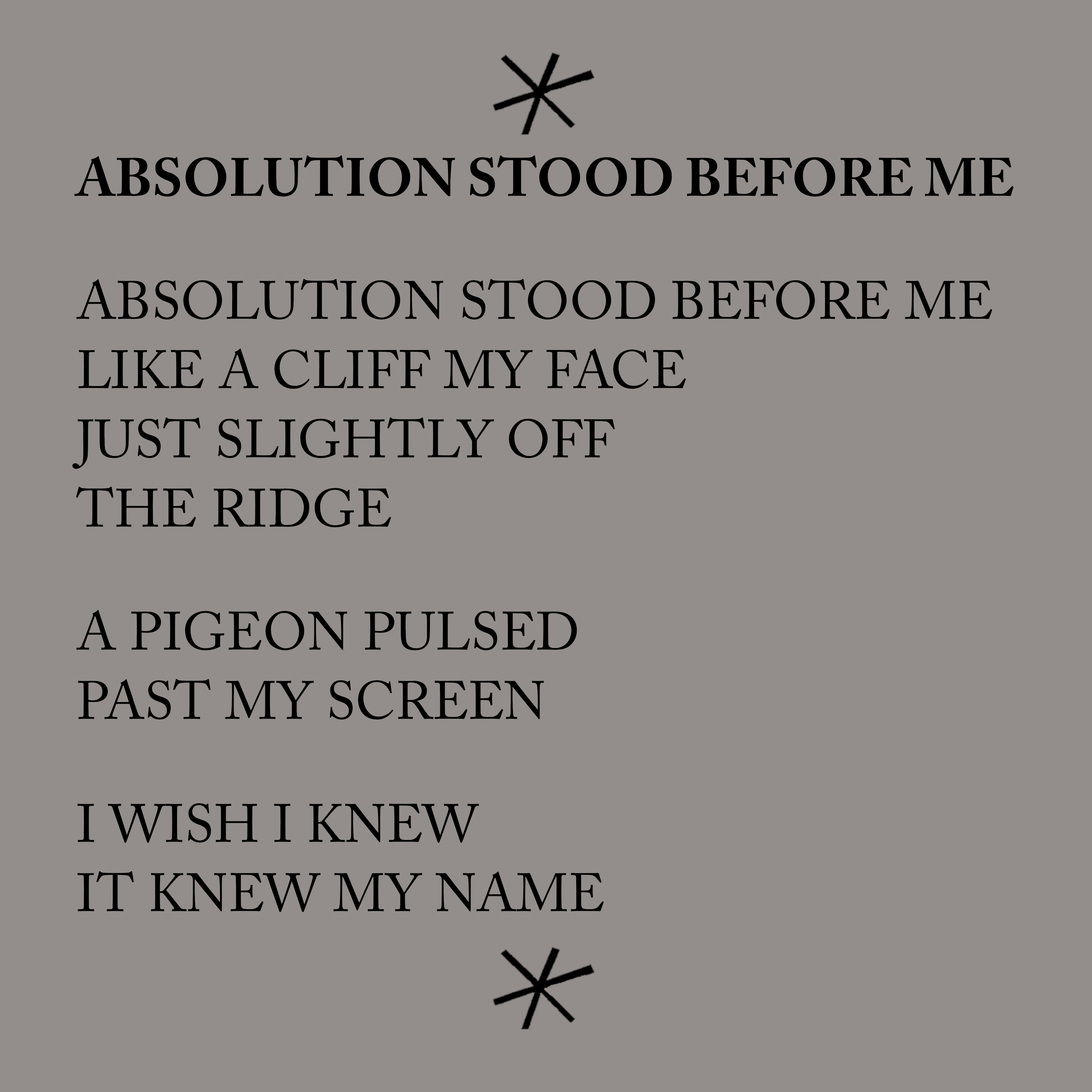 Bottlecap Press – Großhandel Poesie & Drama – WIE MAN DUMM WIRD, von Peter Patapis1