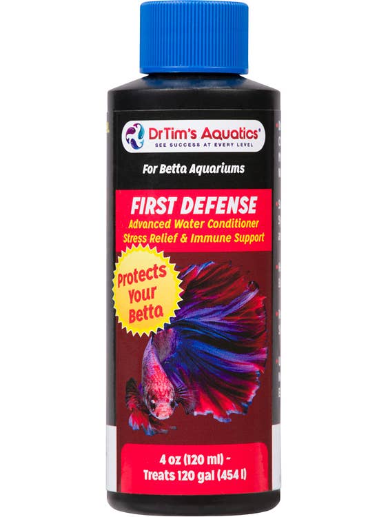 Betta Première Défense pour la vente par DrTim's Aquatics