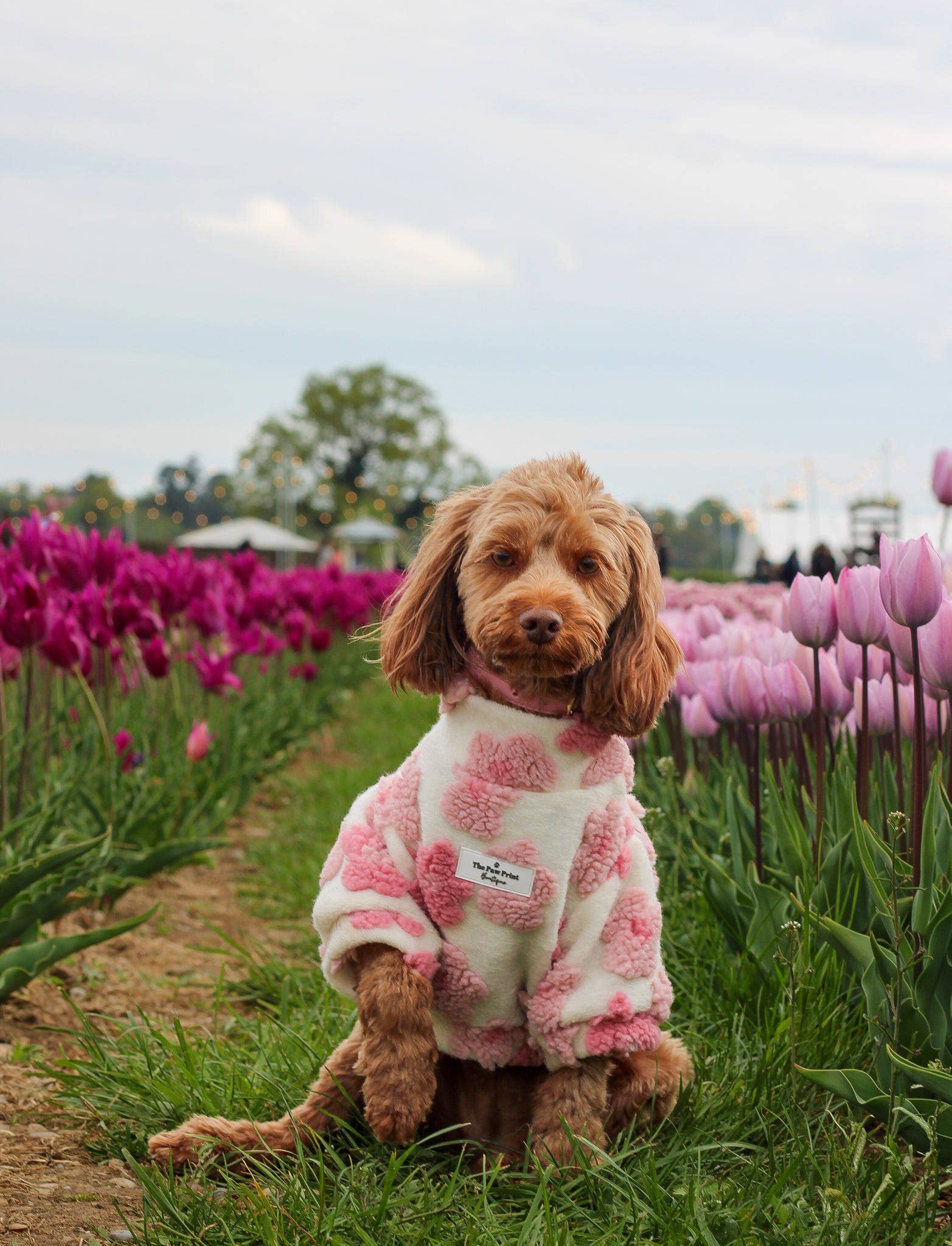 The Paw Print Boutique - Wholesale Pet Coat - Dog - The Peony Pink Floral Fleece8