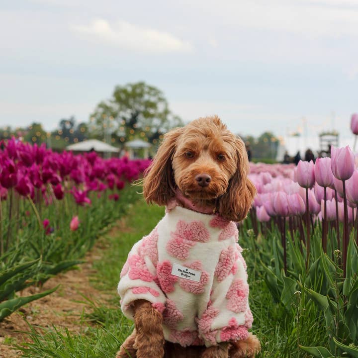 The Paw Print Boutique - Wholesale Pet Coat - Dog - The Peony Pink Floral Fleece8