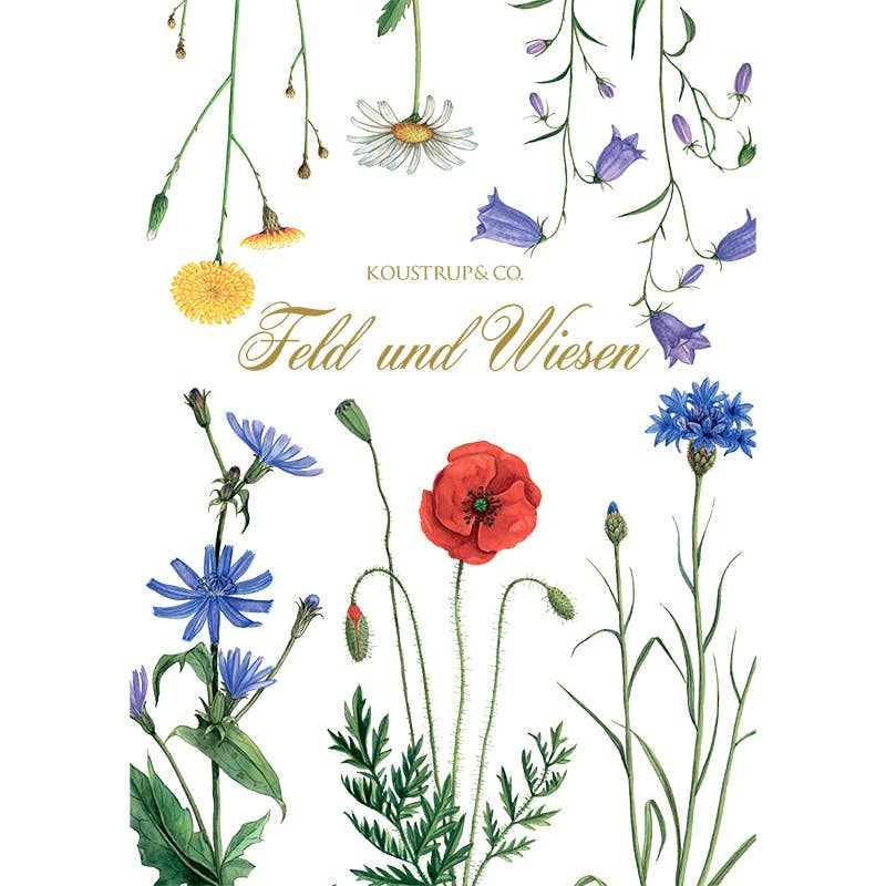 Koustrupco - Wholesale Stationery/Notecard Set - Cardfolder Feld & wiese - 8 cards w/envelopes (german)6