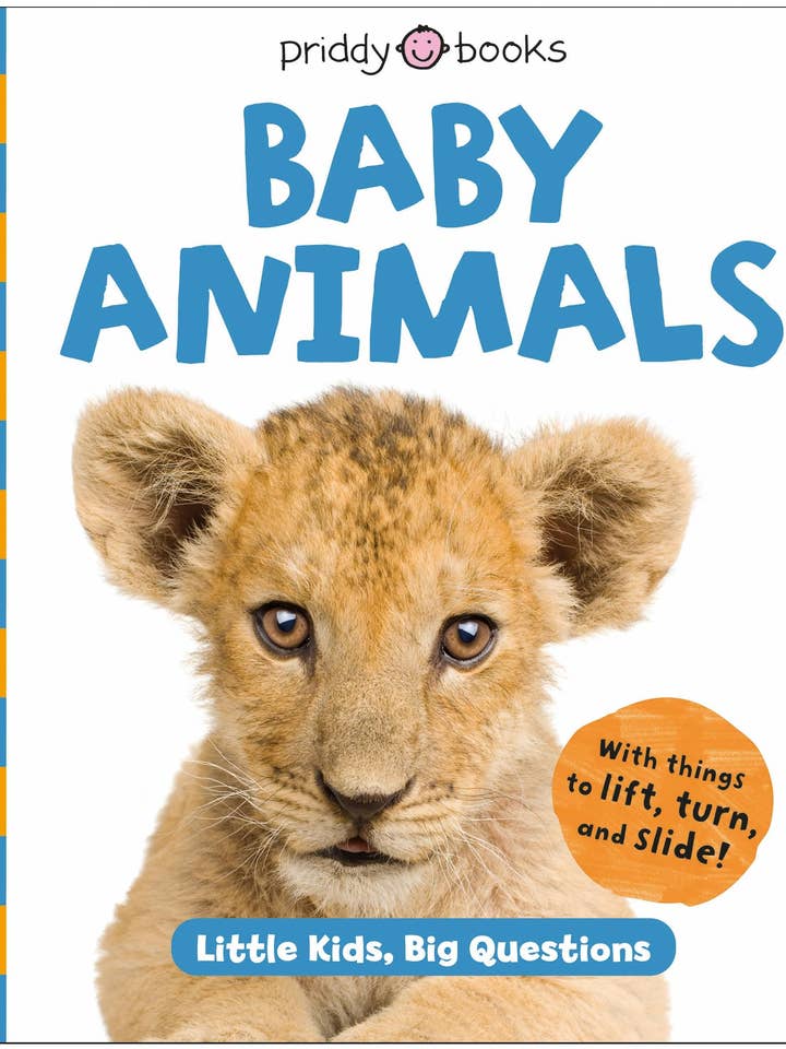Little Kids Big Questions: Animals for wholesale by Macmillan Publishers