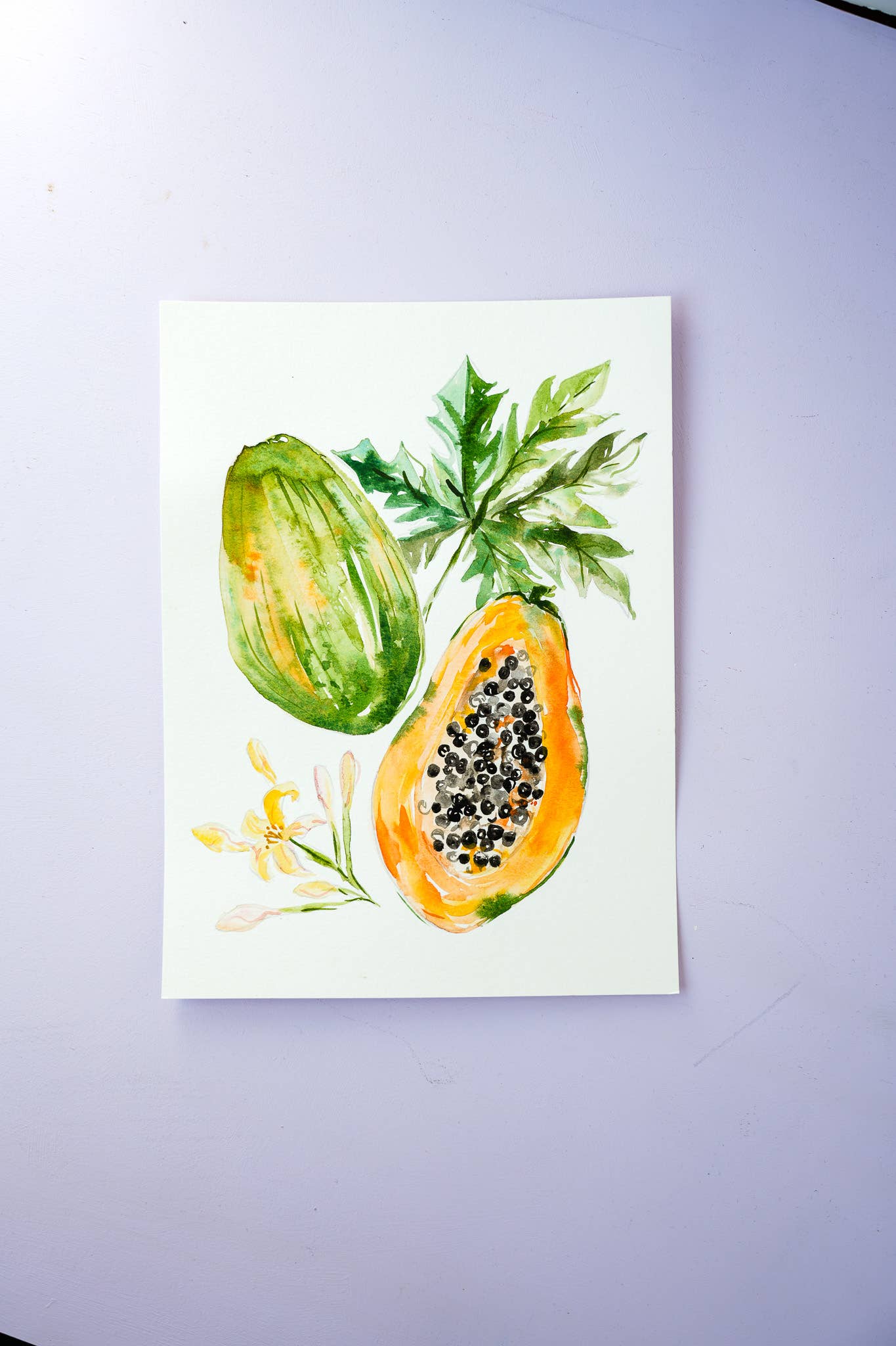 Jean Choe Art & Design - Wholesale Sketchbook/Sketchpad - Fruit Watercolor Workbook: Outlined Coloring Pages to Paint16