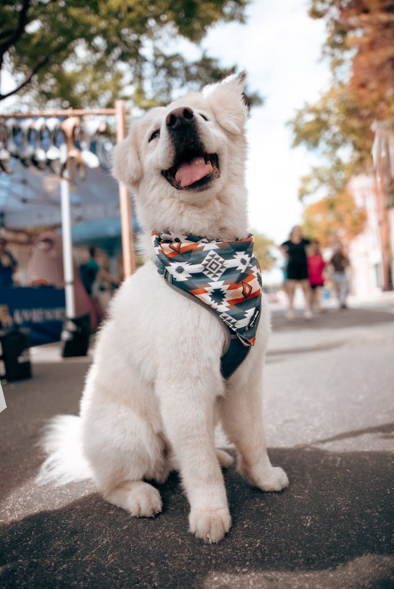 Tails and Trails - Wholesale Pet Bandana - Dog - Mayan Bandana2