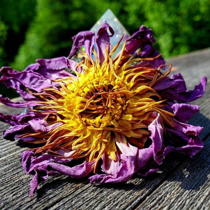 Hyper Boreal Herbs - Wholesale Loose Tea - Blue Butterfly Tea - Blue Lotus Flower - Organic Loose Leaf Herbal Blend
