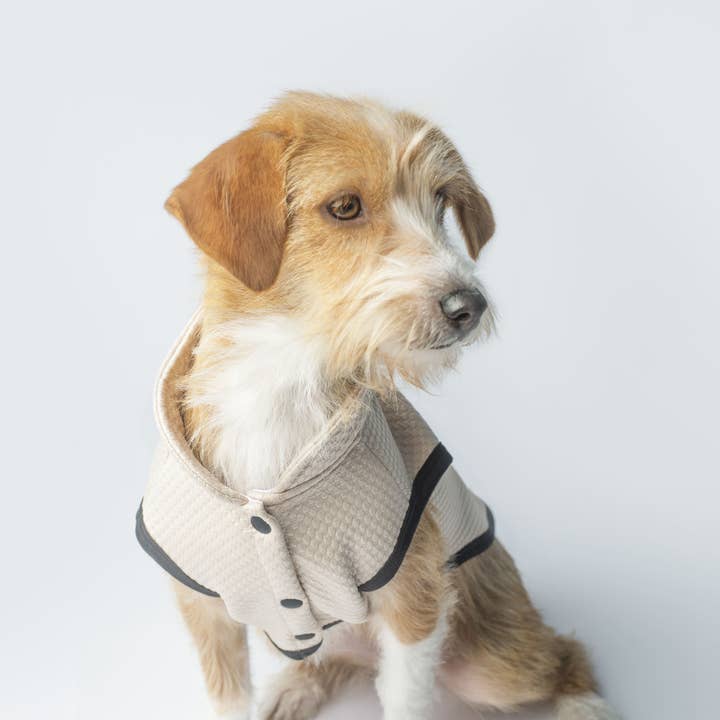 THE VEST for wholesale by Wiwis