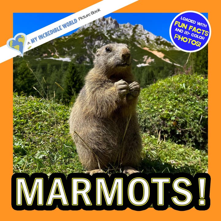 Marmotte! Un libro illustrato del mio incredibile mondo per bambini per la vendita all'ingrosso da parte di My Incredible World