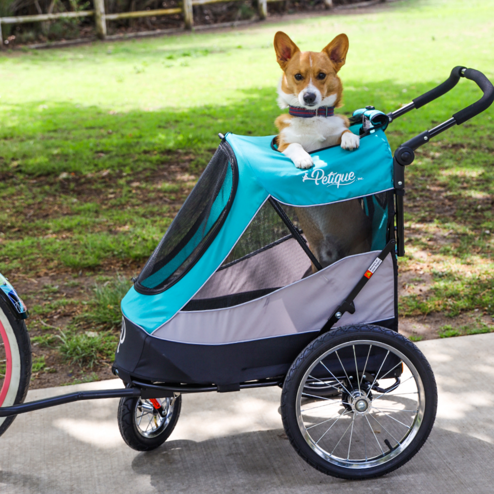 Petique - Wholesale Pet Carrier - Cat/Dog - Trailblazer Pet Jogger23