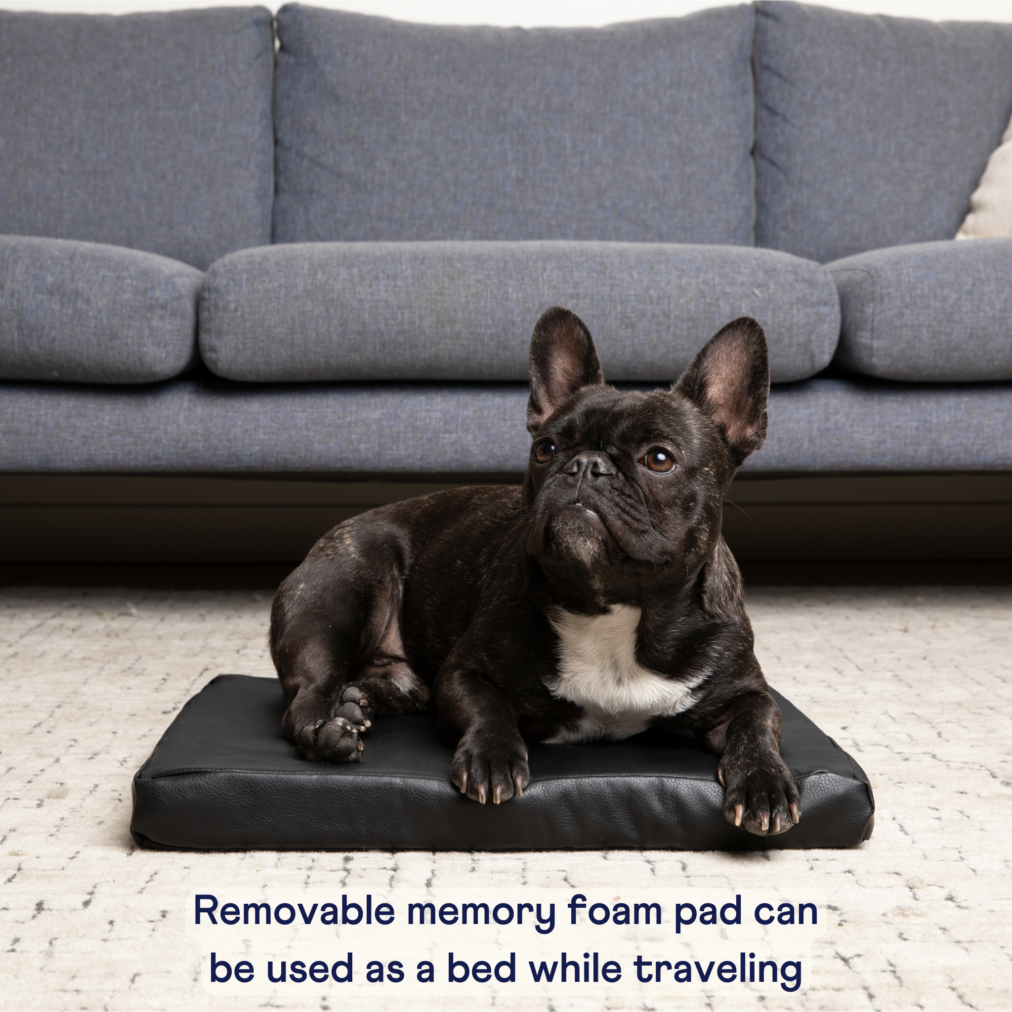 Paw Brands - Wholesale Pet Bed - Dog - PupProtector™ Faux Leather Memory Foam Dog Car Bed -  Black10