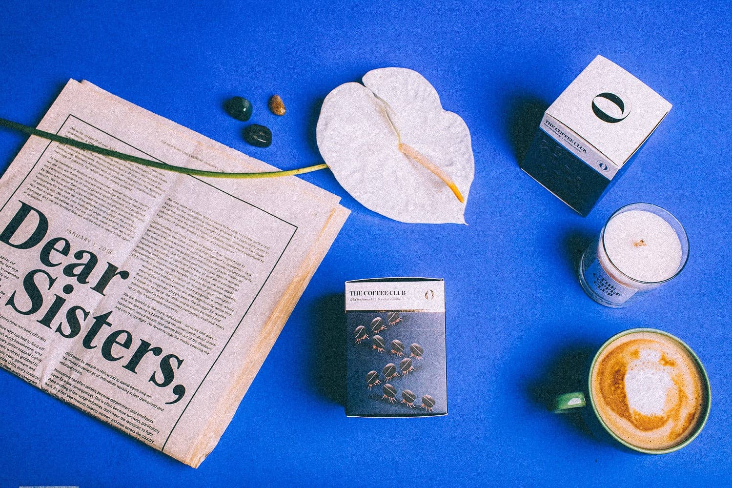 The Singular Olivia - Wholesale Jar/Filled Candle - The Singular Olivia: The Coffee Club Candle - 25% DISCOUNT6