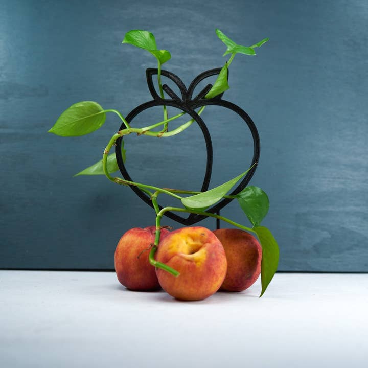 Rosebud Homegoods - Vente Treillis - Tuteur pour plantes grimpantes de pêcher1