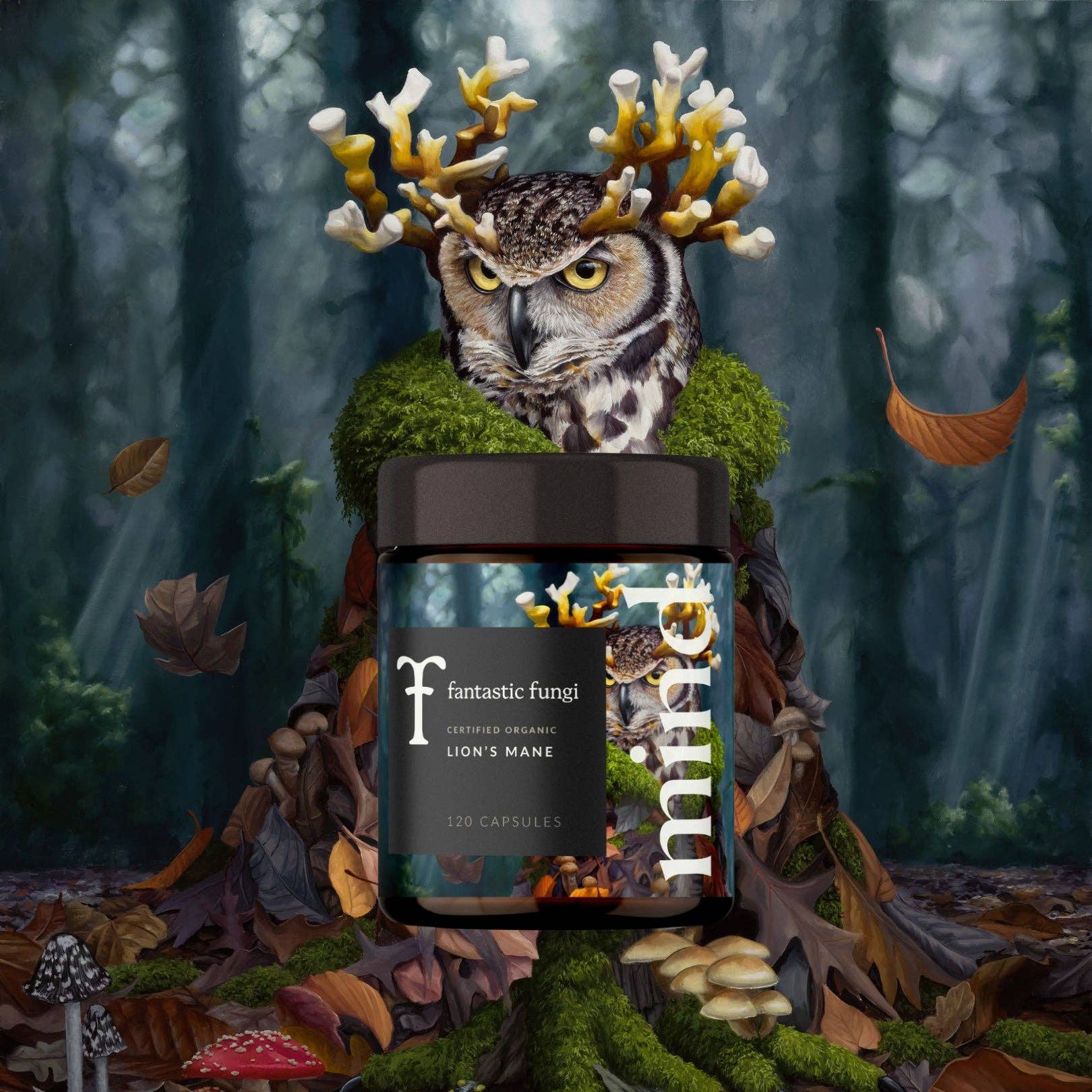 Fantastic Fungi - Wholesale Oral Supplement/Vitamin - Mind Capsules1