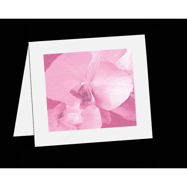 Rose Rosa Orkidé för wholesale av Line Five Studio