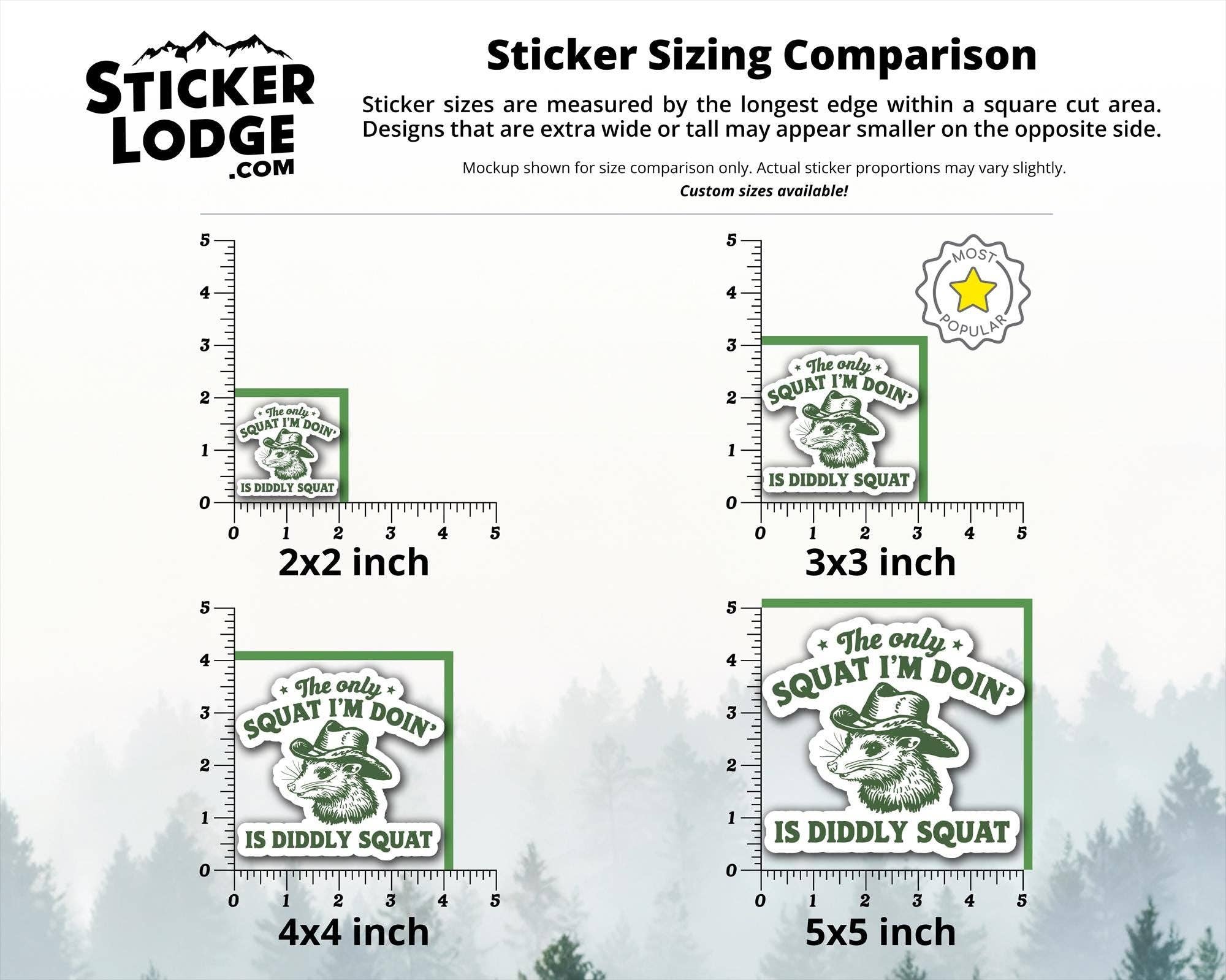 Sticker Lodge - Wholesale Sticker - The Only Squat I'm Doing Is Diddly Squat Vinyl Sticker3