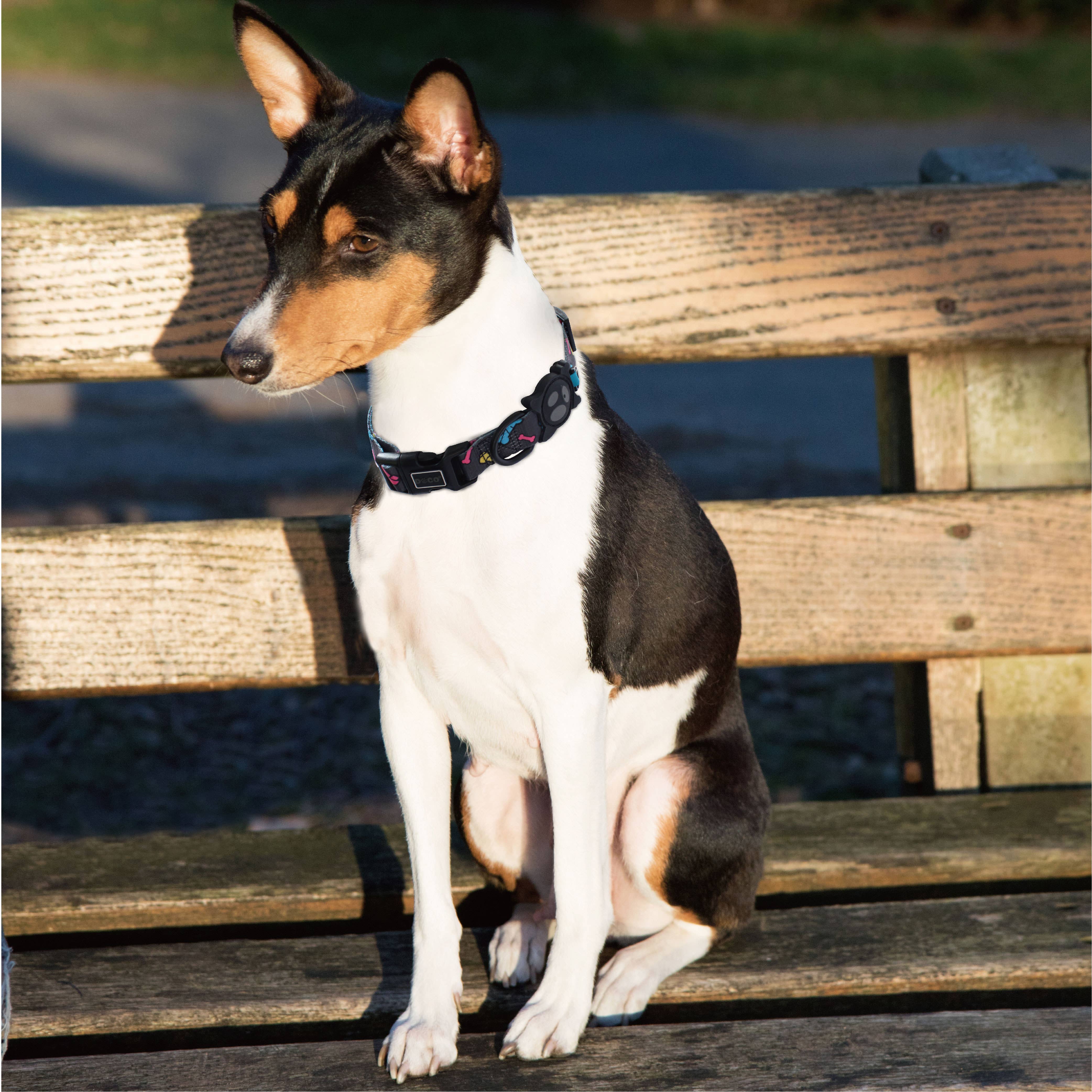 DOCO - Vente Collier – chien - Collier DOCO® LOCO7