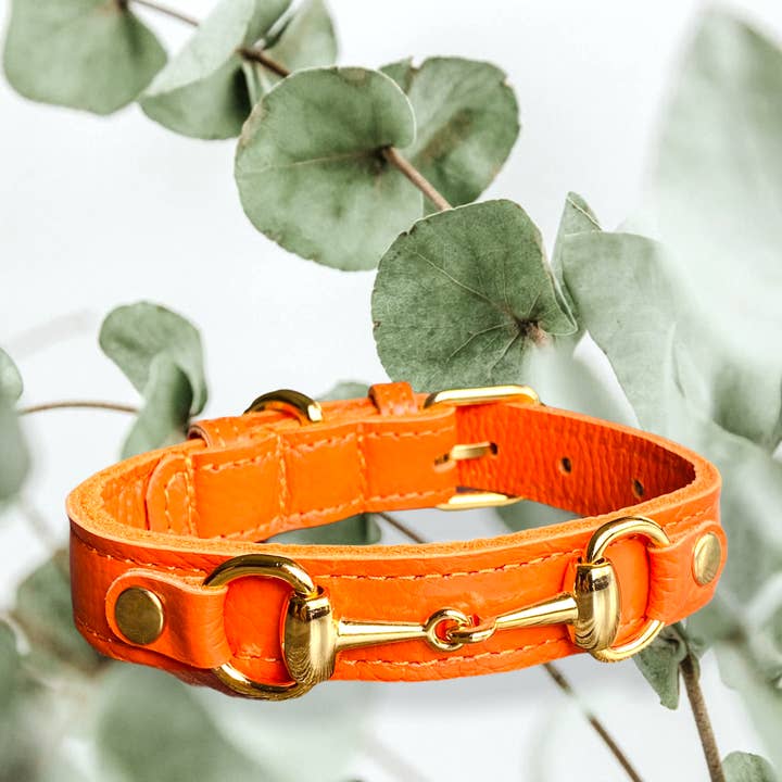 PupWiser - Wholesale Pet Collar - Dog - PRINCESS GRACE Handmade Leather Dog Collar (Orange)