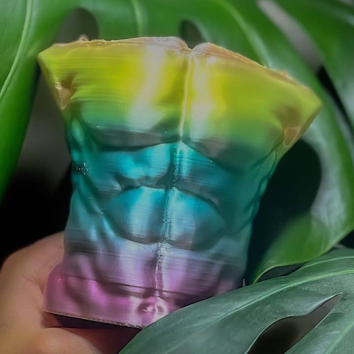 Rosebud Homegoods - Wholesale Plant Pot - Rainbow Torso Planter, Booty Plant Pot, Succulent Holder, Pride Collection Planter, Abs Planter 3D Printed Pot, Miniature Planters0