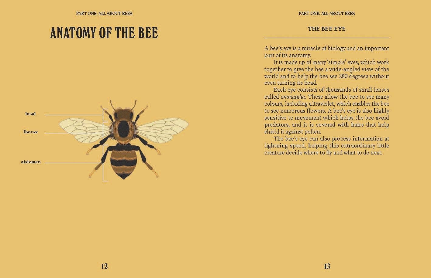 Chronicle Books - Wholesale Nature & Outdoors - Bees1