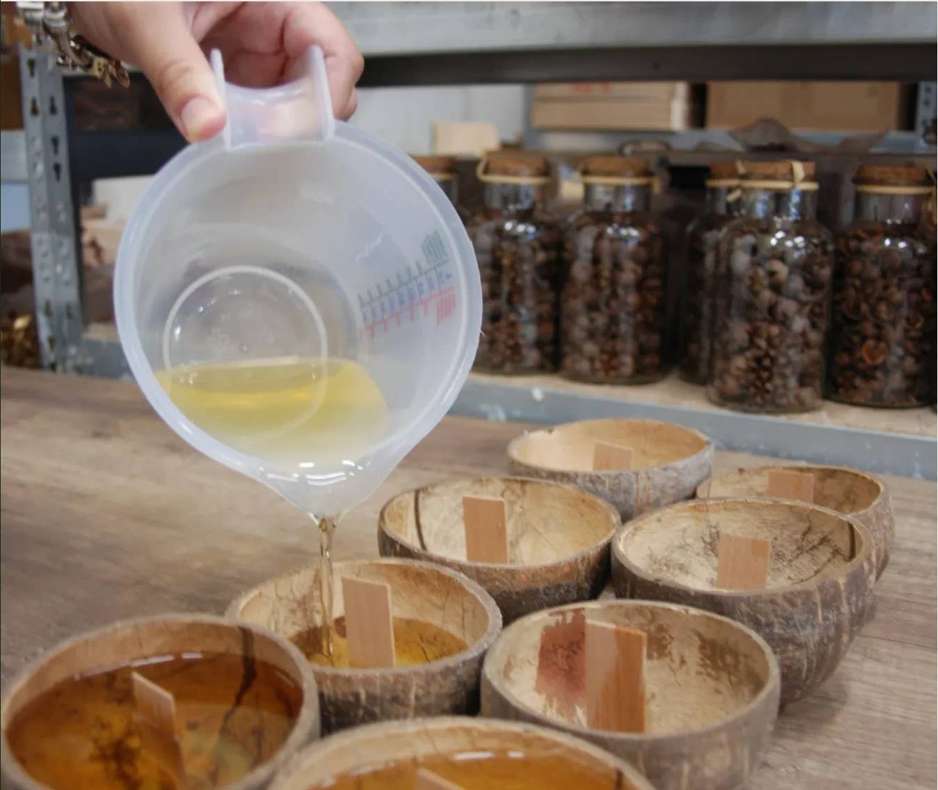 LUMINANTE - Wholesale Jar/Filled Candle - The Candle that becomes a plant Cotton Flower model "coco"9