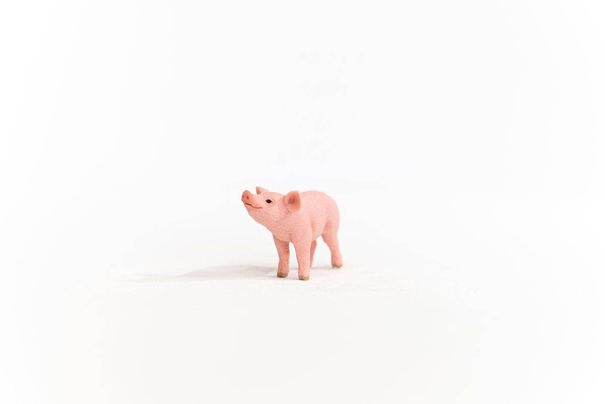 Schleich - Wholesale Figurine Toy - Kids - Piglet Farm Animal Toy1