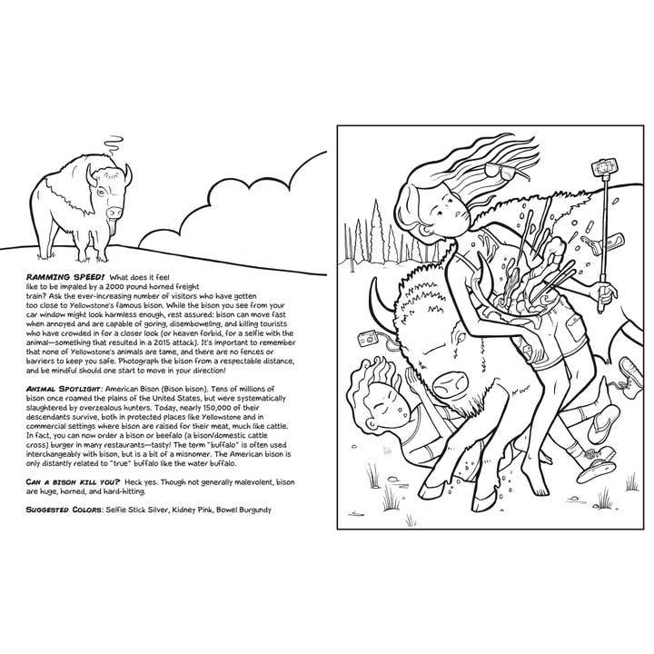 Farcountry Press - Wholesale Coloring Book - Kids & Baby - Yellowstone National Park
A Cautionary Coloring Book