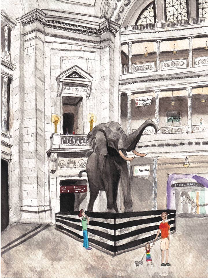 Smithsonian Museum Of Natural History Watercolor Print for wholesale by Alexandra Schmeling Fine Art