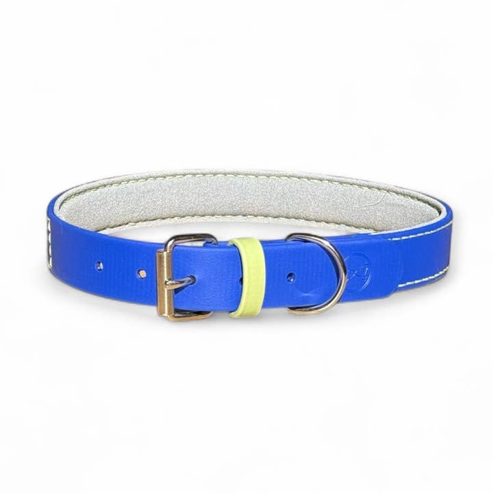Biothane® Padded Dog Collar – NOTTINGHAM Cosmo for wholesale by L&Z Dogwear
