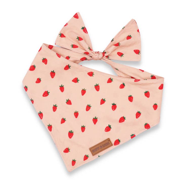 Strawberry Bandana for wholesale by Sniff & Bark