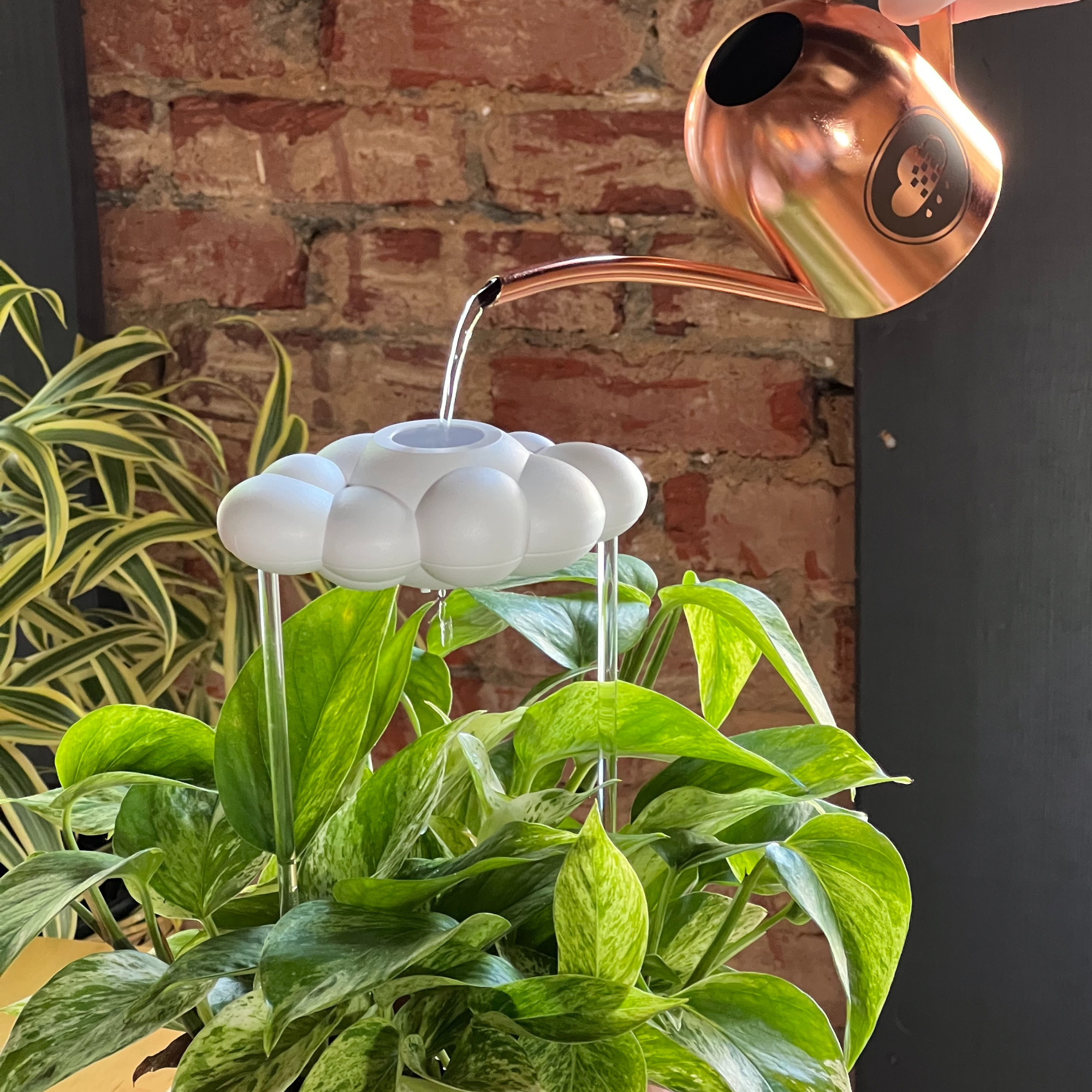 The Cloud Makers - Wholesale Watering Can - Original Dripping Rain Cloud9