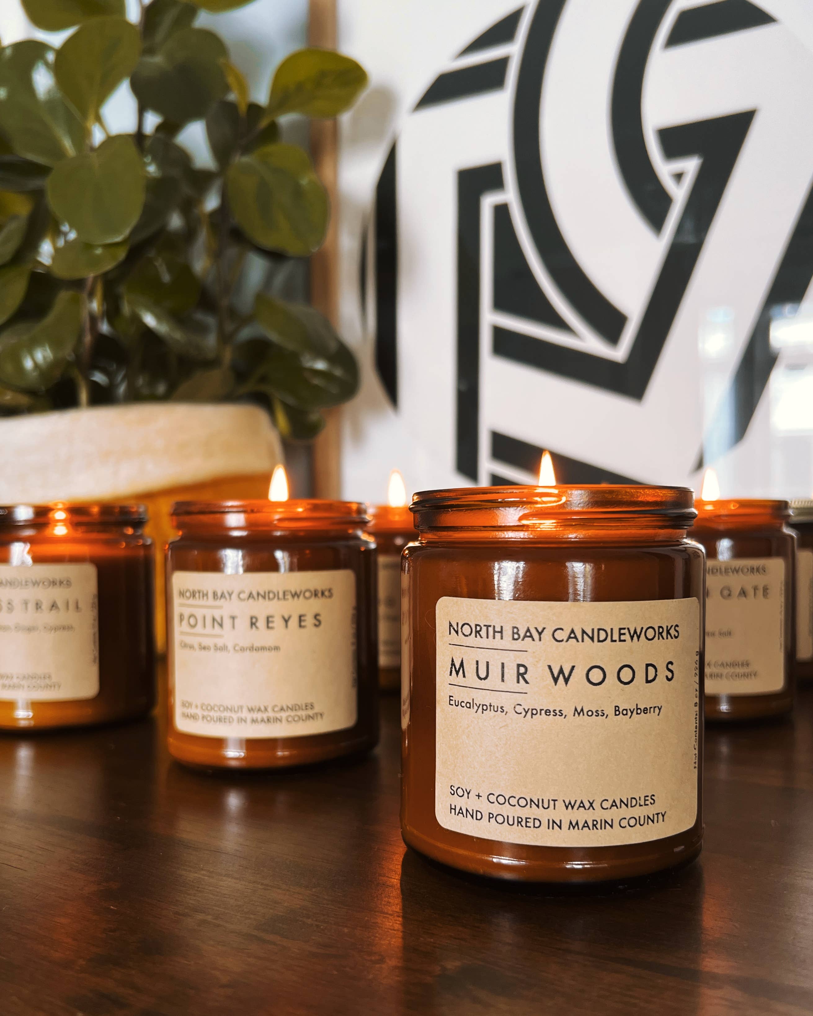 North Bay Candleworks - Vente Bougie en bocal - Muir Woods (taille standard, 8 oz)4