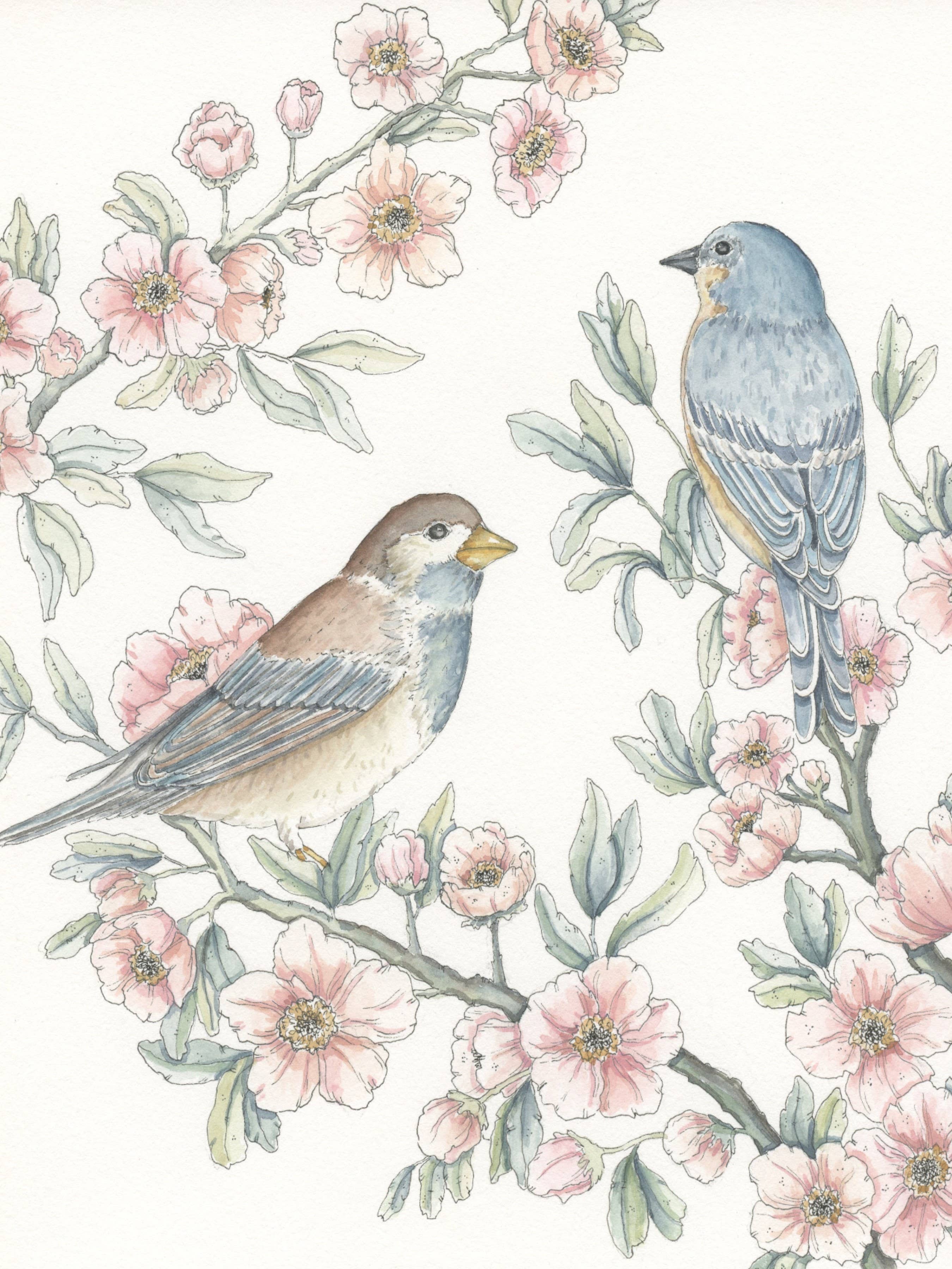 Lil & E - Wholesale Stationery/Notecard Set - Birds and Blooms Card Set of 53