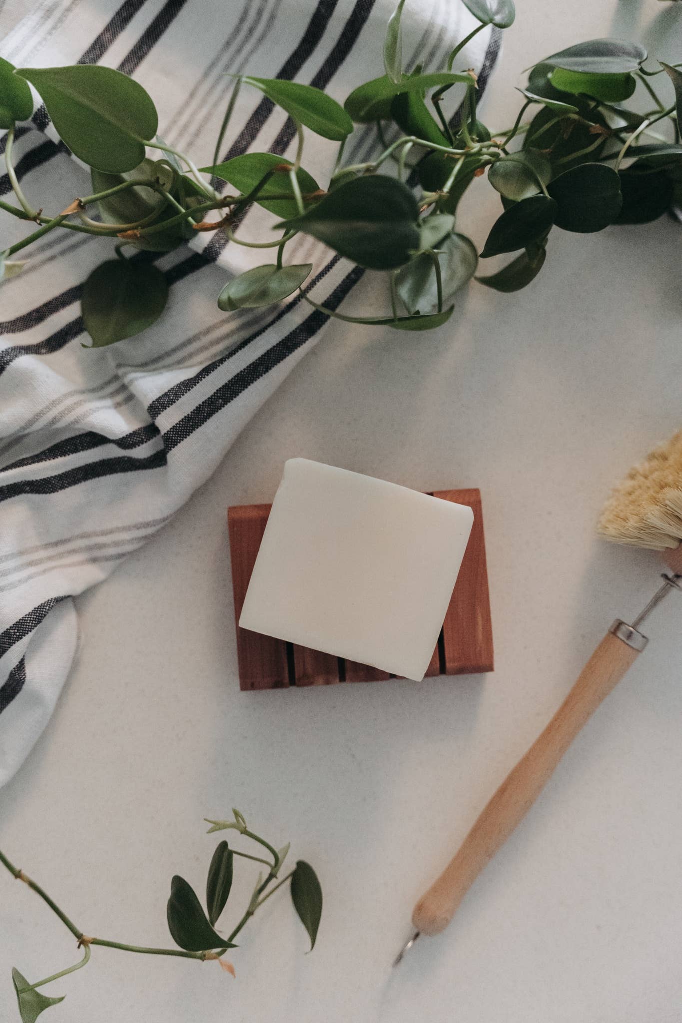 Zero Waste MVMT - Wholesale Dish Soap - Solid Dish Soap Bar | Bergamot + Lime | Vegan & Organic9