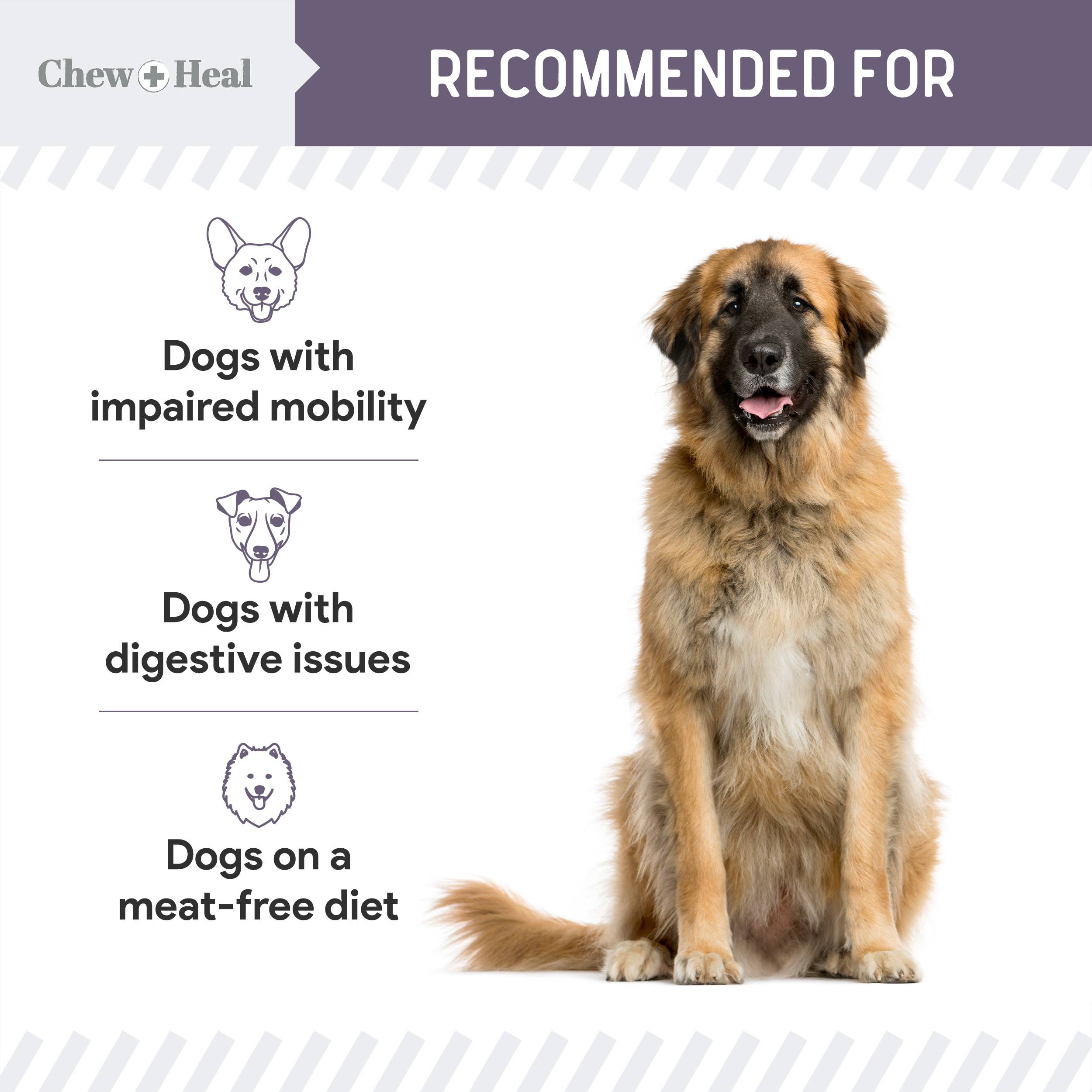 Chew + Heal - Wholesale Pet Treats - Dog - Senior Wild Alaskan Salmon Limited Ingredient Dog Treats10