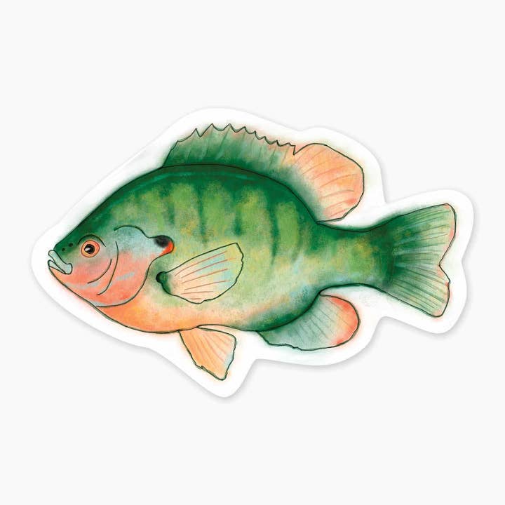 Sunfish - Kunststicker van 3" voor wholesale door Nice Enough Stickers
