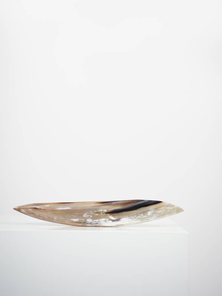 Récipient ovale Ankole & Gyr Horn Light pour la vente par Black Sheep (White Light)