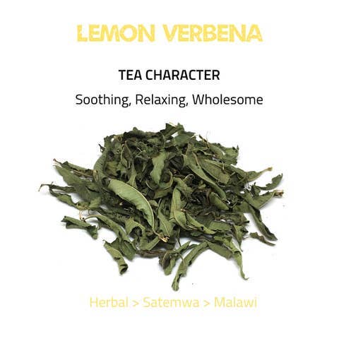 Tea Rebellion Canada - Wholesale Tea Bags - Lemon Verbena - Herbal Tea | 50 pyramid bags - FOODSERVICE1