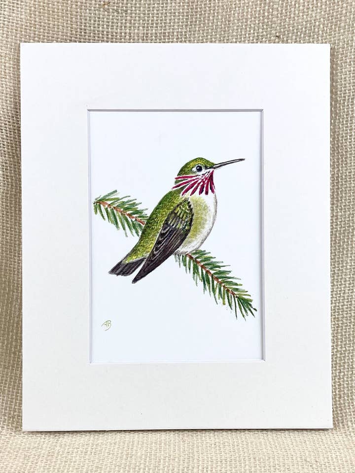 Calliope Hummingbird Matted Print, Arkivtryk for engroshandel hos Streetlightbirds