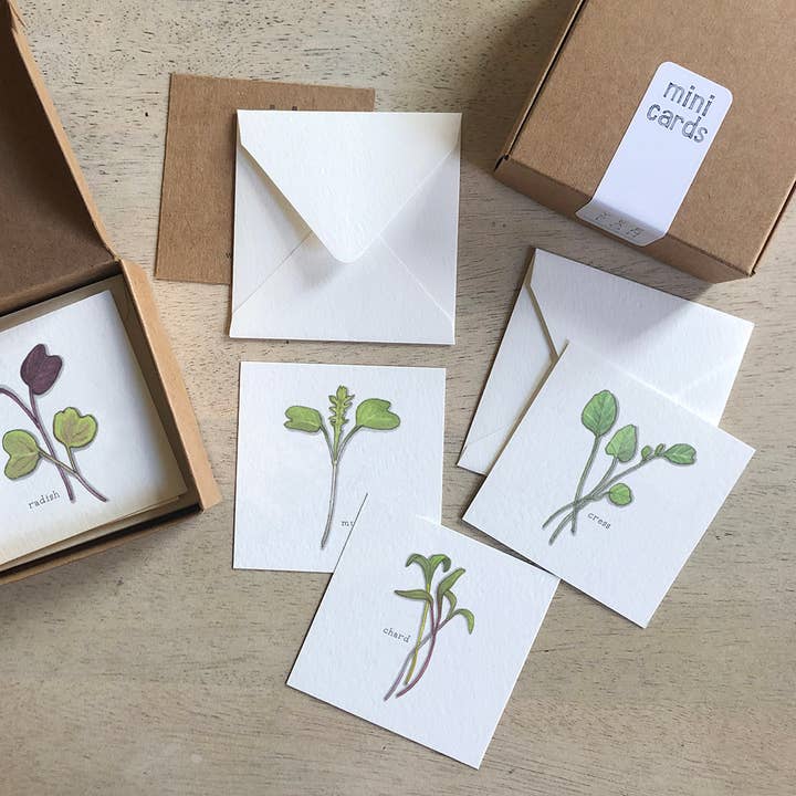 Juego de minitarjas/verduras. Germinados y microvegetales para venta al por mayor de Yeesan Loh