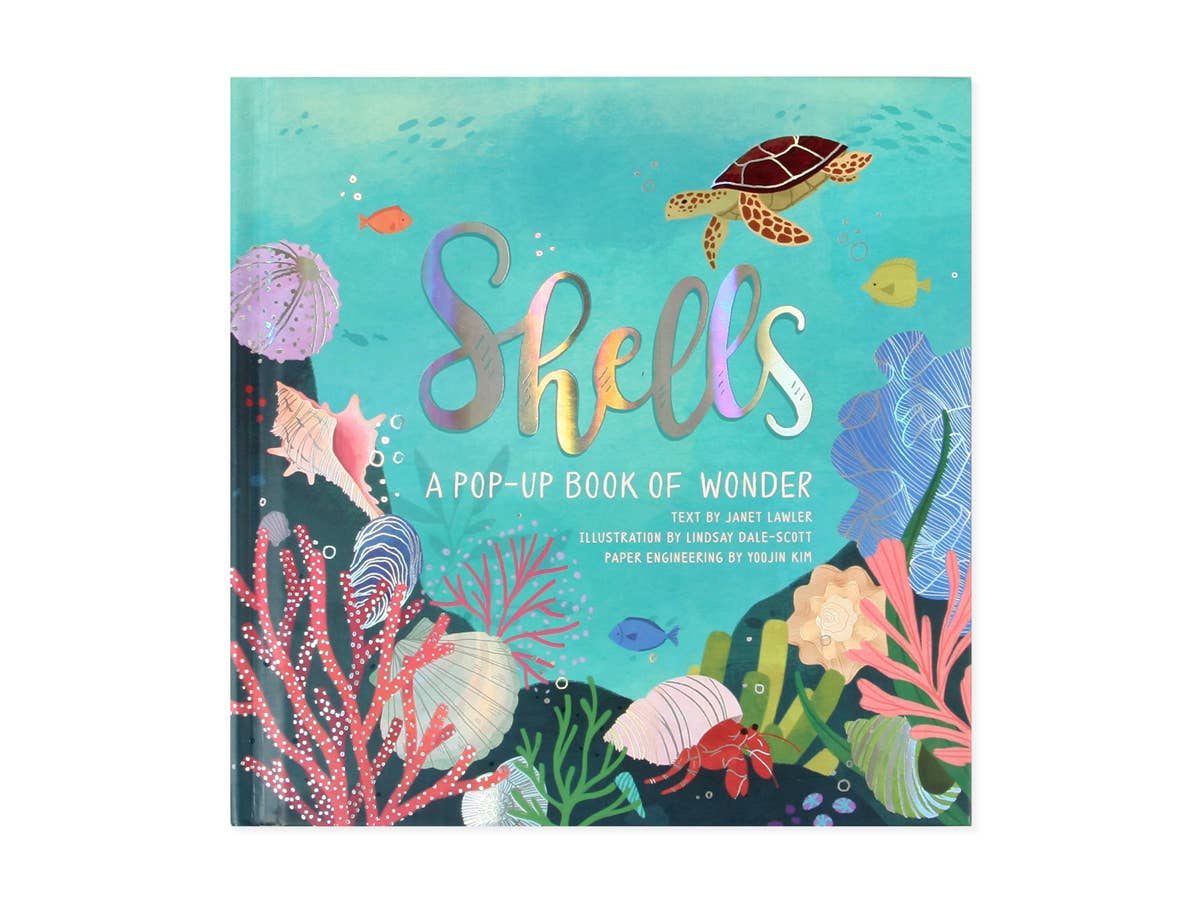 UWP Luxe - Wholesale Display Book - Shells: A Pop-Up Book Of Wonder2