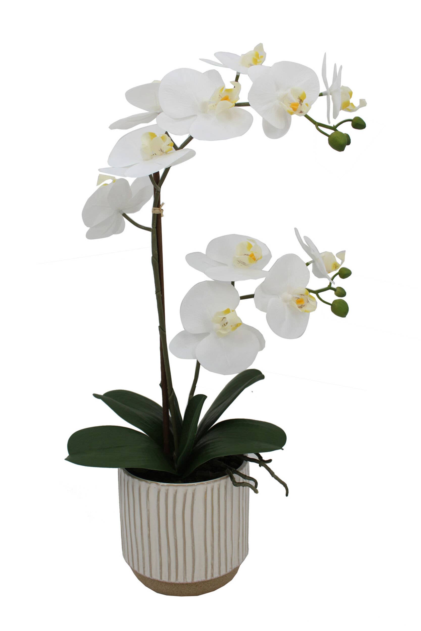 Mikasa 22in White/Yellow Artificial Orchid in White Lined Po for wholesale on Faire0