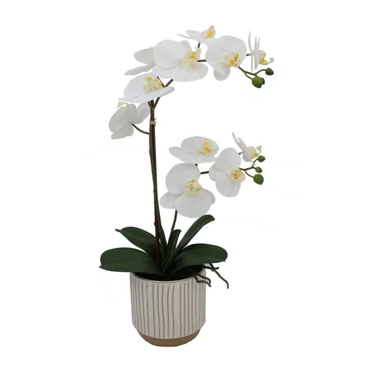 Mikasa 22in White/Yellow Artificial Orchid in White Lined Po for wholesale on Faire