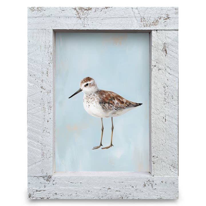 Mill Wood Art - Wholesale Art Print - Blue Sandpiper | Real Wood Framed Wall Art Print1