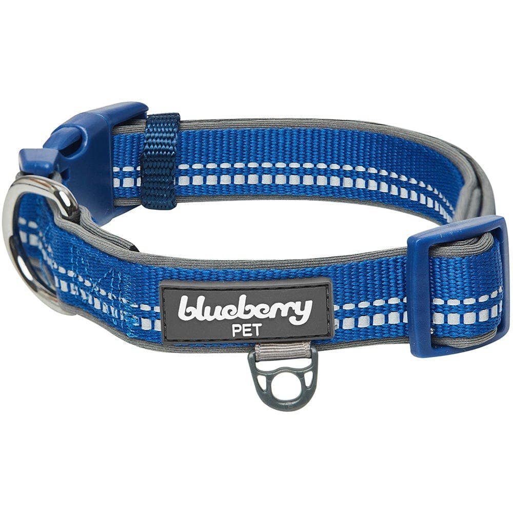 Blueberry Pet - Vente Collier – chien - Collier de sécurité rembourré en néoprène souple réfléchissant 3M17